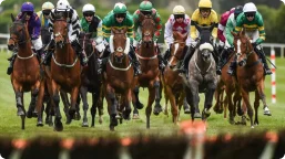 Home 20 Horse Race Betting.png